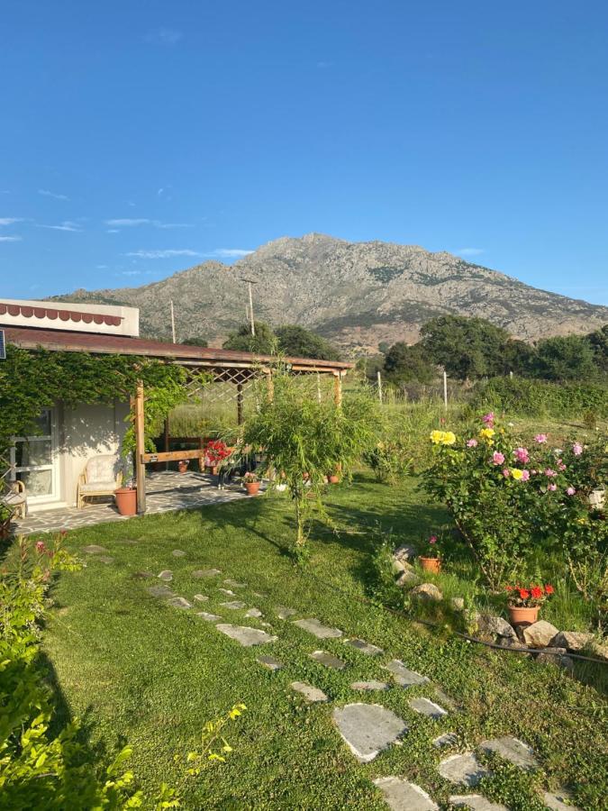 Samothraki - Sea, Mountain, Quiet Villa Ngoại thất bức ảnh